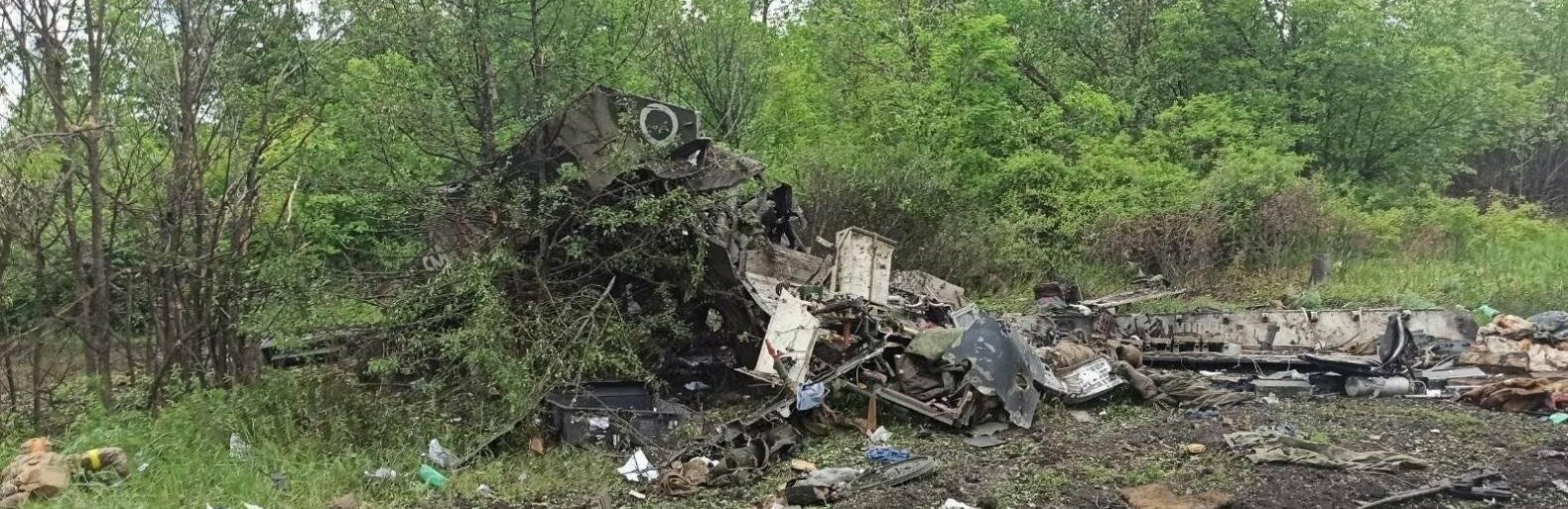 Українські Воїни знищили вже близько  29 350 рашистів