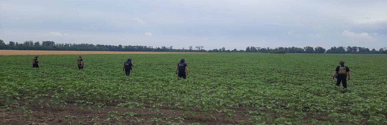 За добу правоохоронці та надзвичайники знищили у Гречаноподівській громаді Криворізького району 90 ворожих снарядів, - ФОТО
