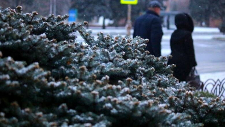 Сегодня 24 февраля в Никополе ожидается облачность