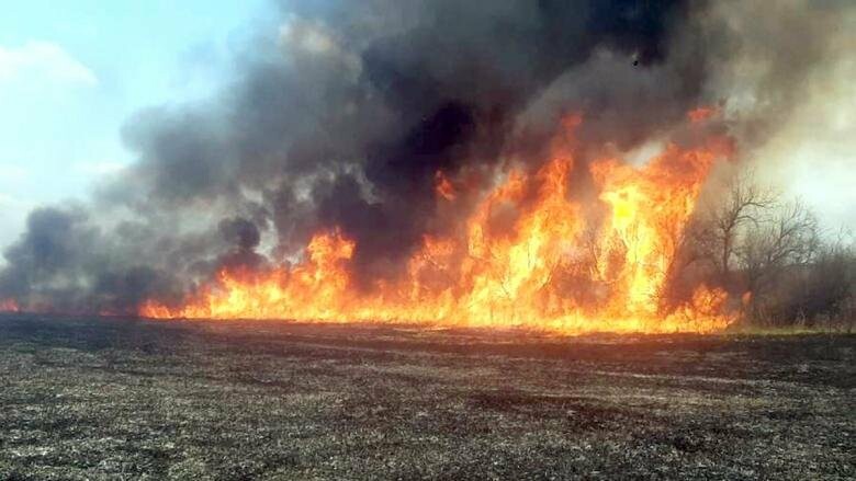 Возле Никополя в экосистеме тушили пожар спасатели