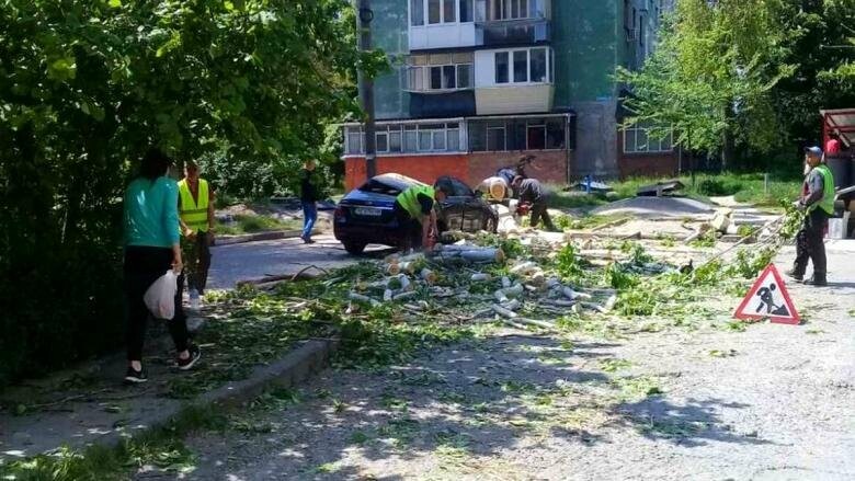 В Никополе дерево упало на автомобиль на улице Шевченко 