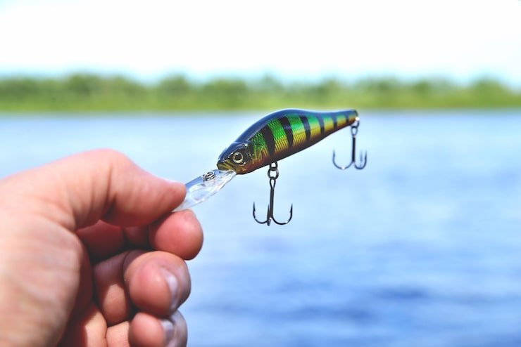 виб приманка